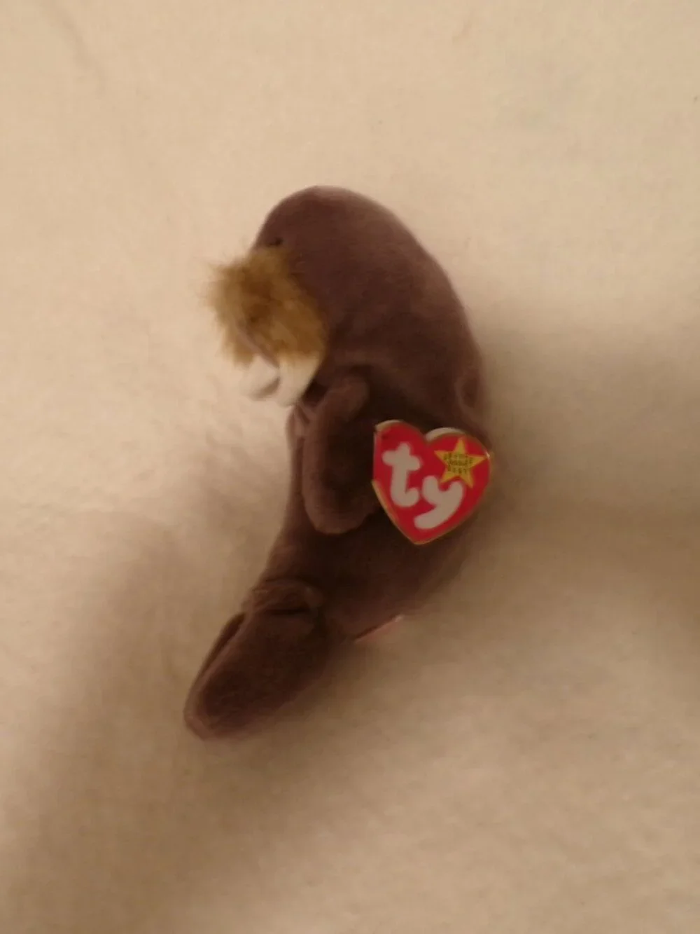 TY Beanie Baby - JOLLY the Walrus 1996